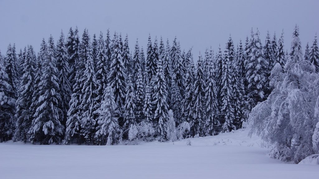 Snowy scene in Norway